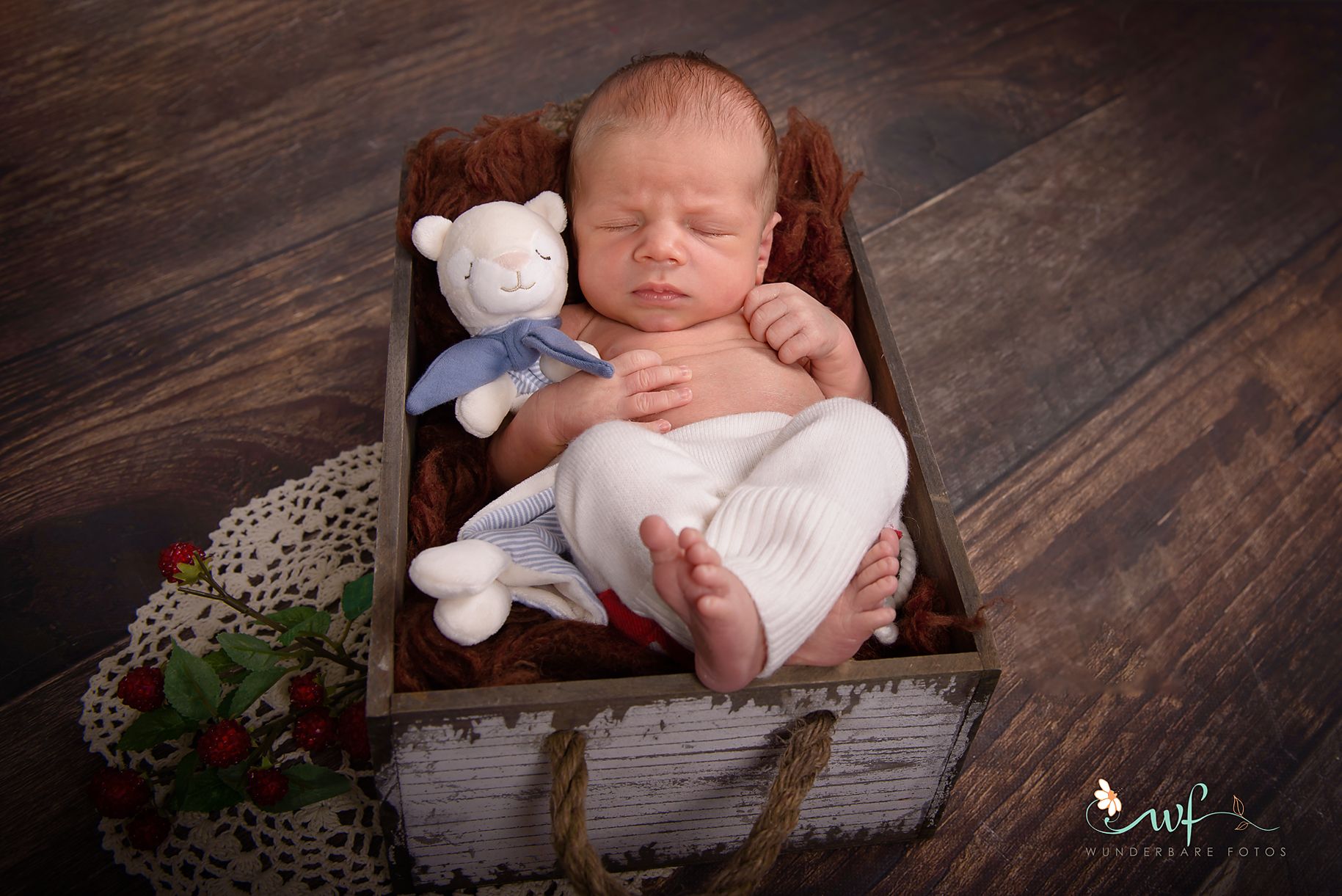 Baby Shooting Neugeborene Fotograf Magdeburg Barleben Haldensleben Wunderbare Fotos Fotografie