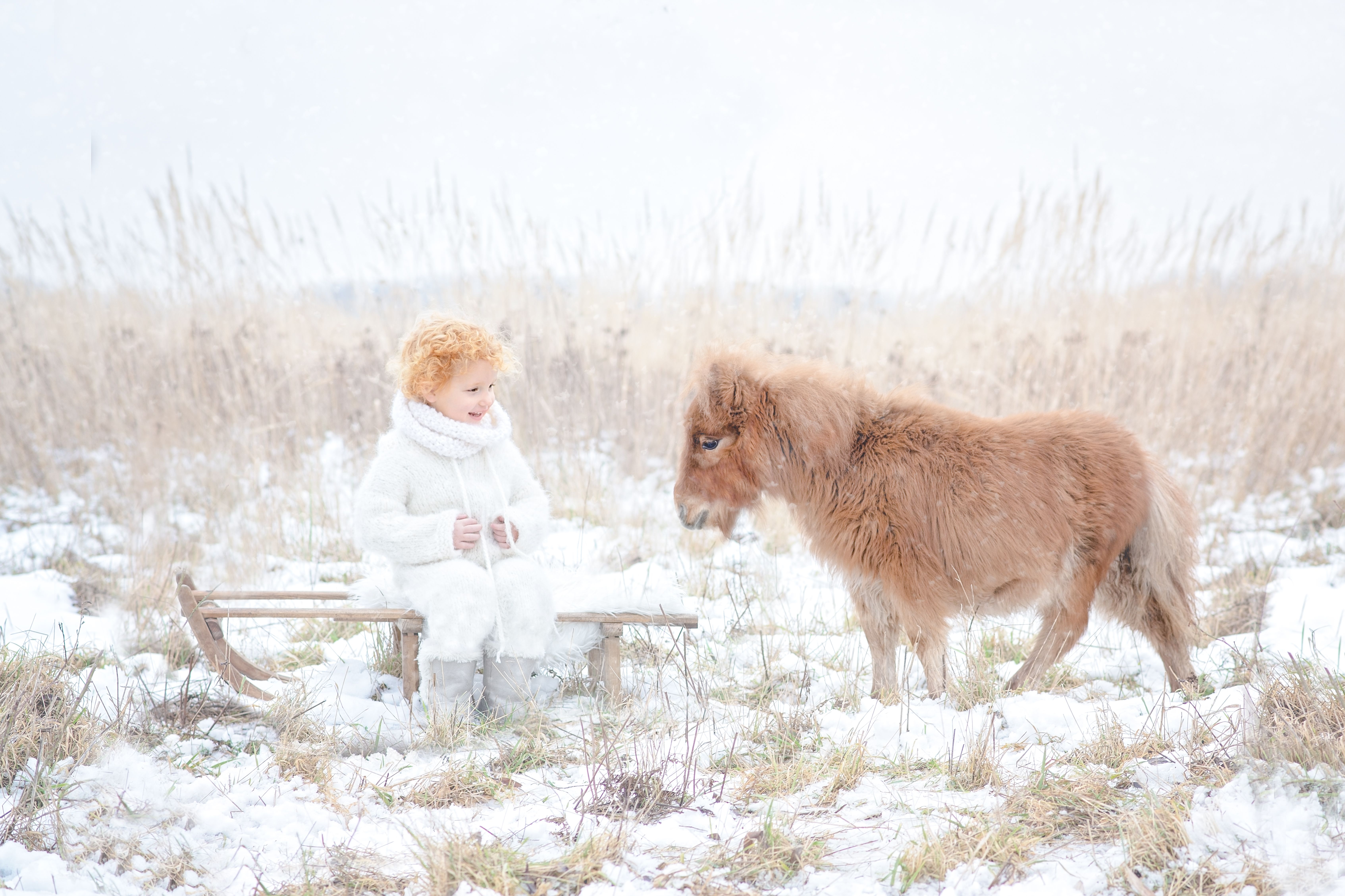Wunderbare Fotos Mit Pony Lilu Im Schnee Wunderbare Fotos Fotografie