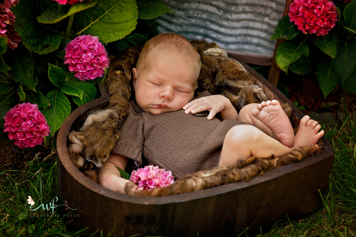 Babyfotograf Magdeburg und Umgebung Neugeborenen Shooting
