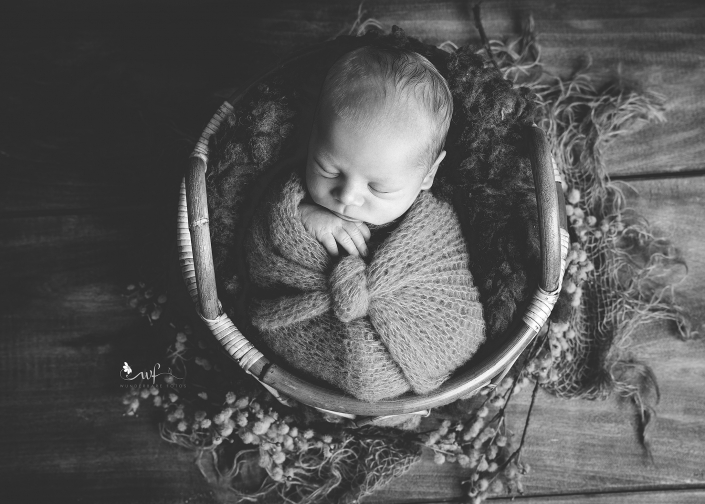 baby-newborn-session-photo-foto-fotografin-magdeburg-burg-barleben-wolmirstedt-halberstadt-fotografin-studio