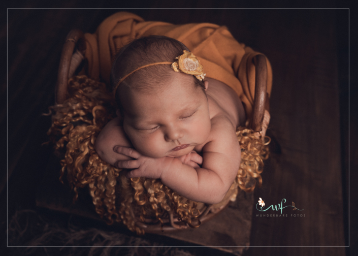 baby-newborn-session-photo-foto-fotografin-magdeburg-burg-barleben-wolmirstedt-halberstadt-fotografin-studio_010