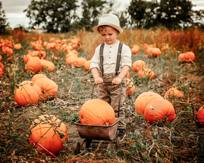Kürbis-Kürbisfeld-fotografin-magdeburg-burg-halberstadt-haldensleben-session-kamera Kürbis Feld hooting Session Schönebeck