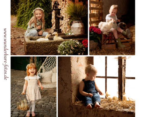 küken-tierkinder-session-shooting-fotograf-magdeburg-burg-haldensleben