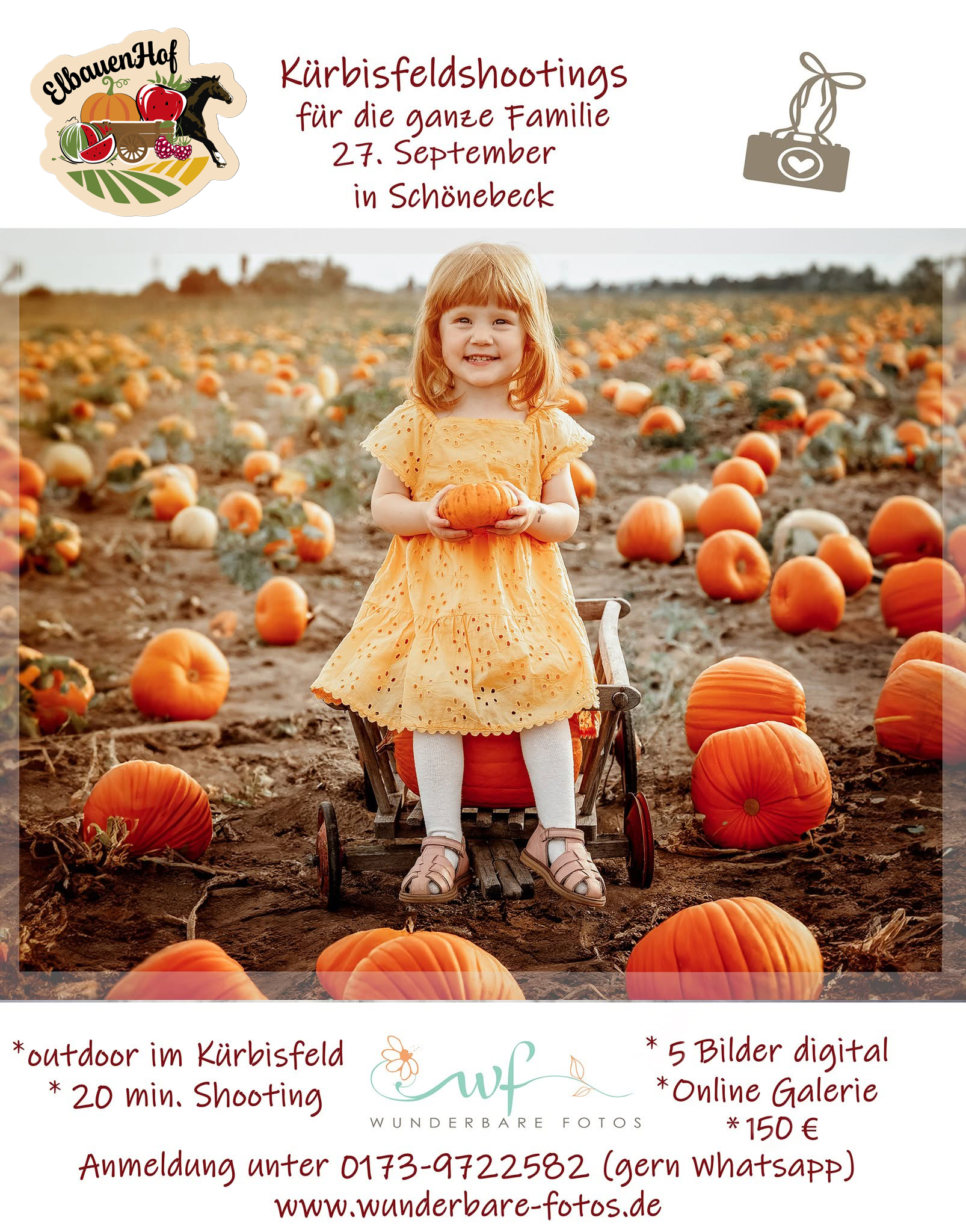 Kürbisfeld Fotoshooting für Kinder und Familien in Schönebeck