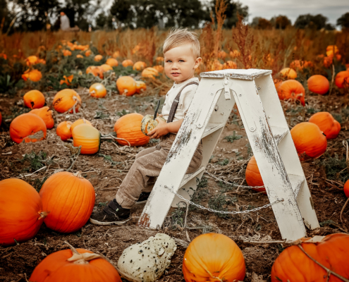 Kürbisfeld Fotoshooting für Kinder und Familien in Schönebeck